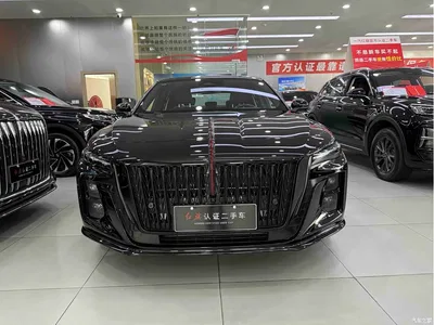 2025 Hongqi H5 2.0T Automatic Mystic Shadow, фото 2, лот 10285511