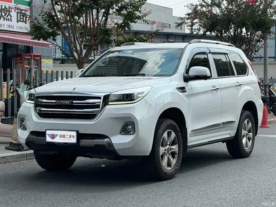 2020 Haval H9 2.0T Gasoline 4WD Luxury 7-Seater, фото 1, лот 10306335