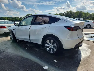 2024 TESLA MODEL Y, фото 2, лот 10855268