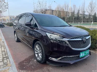 2020 Buick GL8 Avenir Six-Seat Elegance Edition, фото 3, лот 10255067