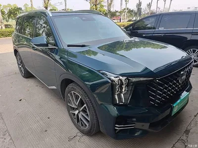 2022 GAC Trumpchi Trumpchi GS8 Pilot Series 2.0TGDI 2WD Luxury Smart Connect Edition (7-Seater), фото 4, лот 11135877
