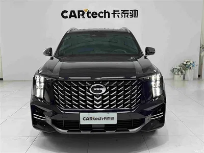 2024 GAC Trumpchi Trumpchi GS8 Navigator Series 2.0TGDI 2WD Luxury Smart Connect Edition, фото 1, лот 10417199