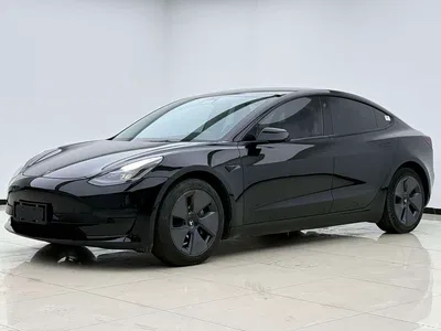 2021 Tesla Model 3 Standard Range Rear-Wheel Drive Upgrade, фото 1, лот 10357059