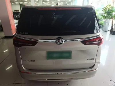 2021 Buick GL8 ES Landlord 653T Comfort, фото 4, лот 10258659
