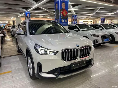 2023 BMW X1 sDrive20Li X Design Package, фото 3, лот 10398838