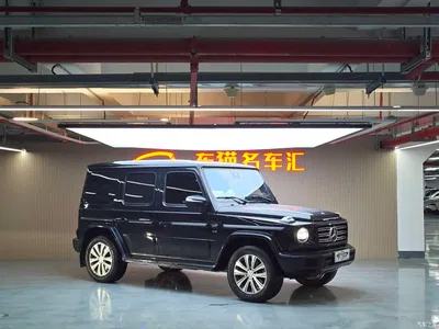 2020 Mercedes-Benz G-Class G 350, фото 3, лот 10280923