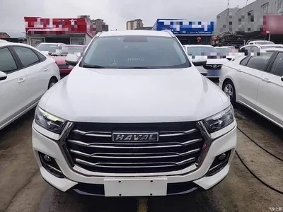 2021 Haval H6 Model National Trend Edition 1.5T Auto Champion, фото 3, лот 11136874