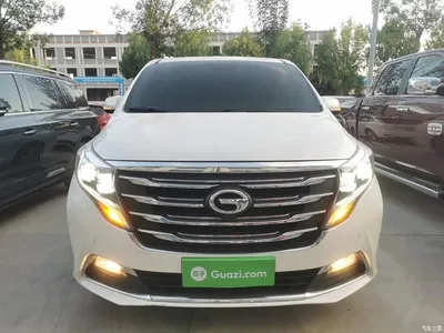 2018 GAC Trumpchi Trumpchi M8 320T Premium Edition, фото 3, лот 10420735