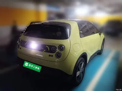 2025 Firefly Firefly Free & Easy Edition, фото 4, лот 11583614