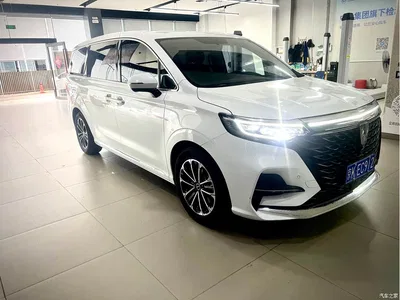 2021 Roewe iMAX8 400TGI Supreme Series Landmaster, фото 3, лот 10340358