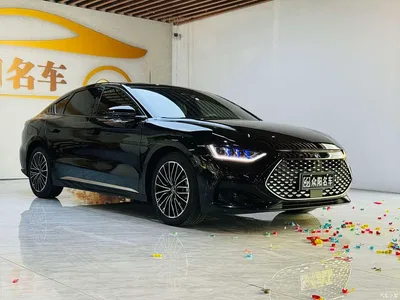 2023 BYD Han DM-i Champion Edition 121KM Premium, фото 3, лот 10246238