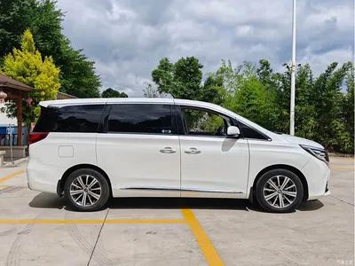 2019 GAC Trumpchi Trumpchi M8 320T Ultimate Edition, фото 4, лот 10416905