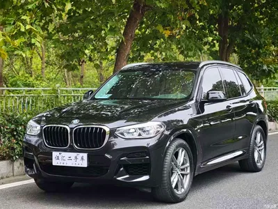 2019 BMW X3 xDrive28i M Sport Package, фото 1, лот 10460382
