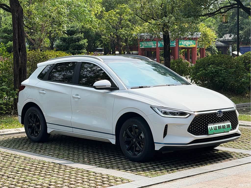 2020 BYD e2 Upgraded Long Range Premium, фото 3, лот 11187823