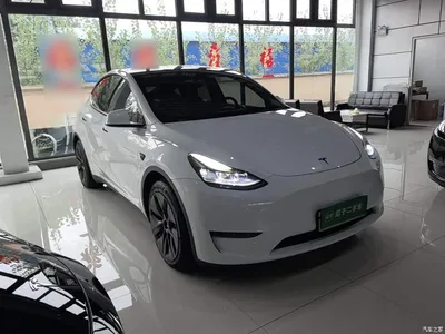 2021 Tesla Model Y Standard Range Rear-Wheel Drive, фото 4, лот 11459656