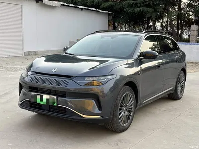 2024 Leapmotor C11 Extended Range 300 Premium Edition, фото 1, лот 11509236