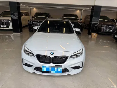 2020 BMW M2 Thunderbolt Limited Edition, фото 2, лот 10477894