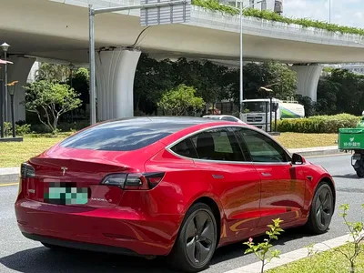 2020 Tesla Model 3 Standard Range Rear-Wheel Drive Upgrade, фото 4, лот 10356646