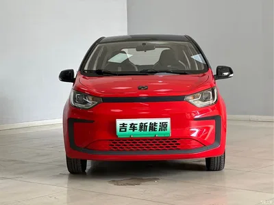 2021 Sehol Flower Fairy 302km Luxury Edition 31.4kWh, фото 3, лот 11153499