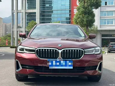 2021 BMW 5 Series Facelift 530Li Leading Luxury Package, фото 2, лот 11199844