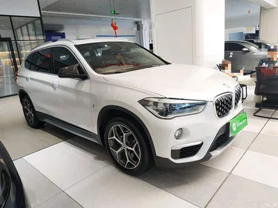2018 BMW X1 New Energy xDrive25Le Luxury Model, фото 4, лот 10475365