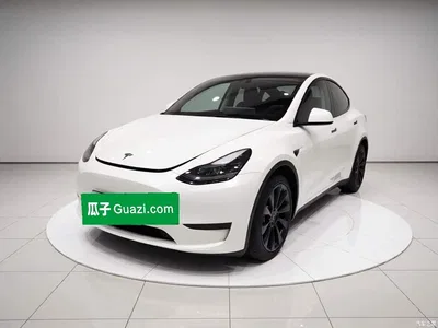 2024 Tesla Model Y Rear-Wheel Drive Version, фото 2, лот 11204817