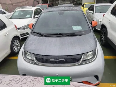 2021 BYD Dolphin Model 405km Fashion Edition, фото 3, лот 10264282