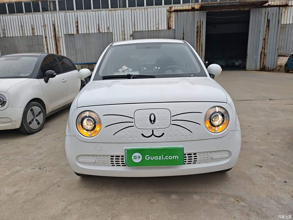 2021 Ora Black Cat 301km Pet Edition, фото 3, лот 11218149