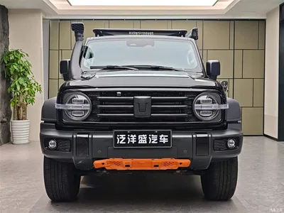 2021 Tank 300 Off-road Version 2.0T Conqueror, фото 2, лот 10344654
