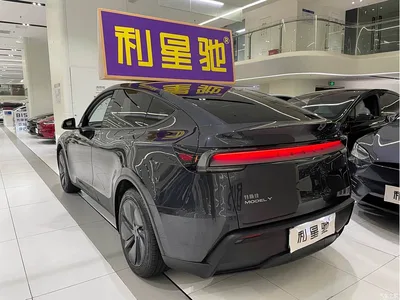 2025 Tesla Model Y Rear-Wheel Drive, фото 4, лот 10615705