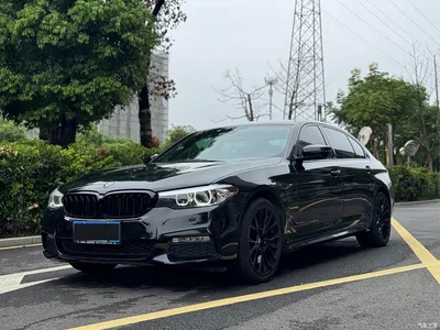 2018 BMW 5 Series Facelift 530Li Leading M Sport Package, фото 1, лот 11199881