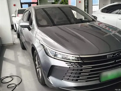 2023 BYD Destroyer 05 Champion Edition DM-i 55KM Luxury, фото 4, лот 10267823