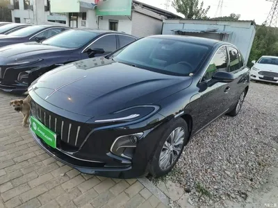 2022 Hongqi E-QM5 431km Charging Enjoyment Edition, фото 2, лот 10289310