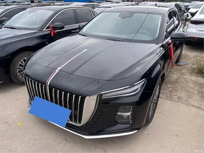 2025 Hongqi H5 1.5T DCT Qiyue 500,000 Units Commemorative Edition, фото 1, лот 10376174
