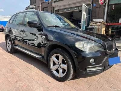 2009 BMW X5 (Import) xDrive30i Luxury, фото 3, лот 10463999
