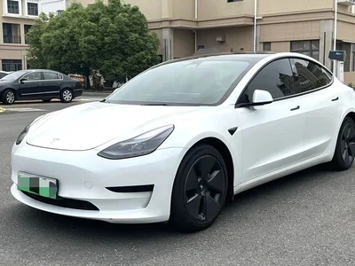 2022 Tesla Model 3 Model Rear-Wheel Drive Version, фото 1, лот 10360868