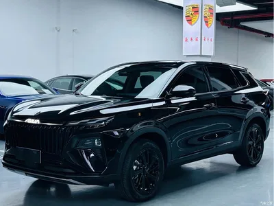 2025 Dongfeng Aeolus Haoji Model Mach Power 1.5T Premium, фото 1, лот 11161027