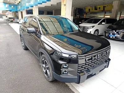 2023 Chery Tansuo 06 Facelift Joy Off-road Edition 1.6T 4WD Expedition, фото 4, лот 11144568