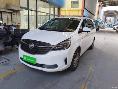 2021 Buick GL8 Land Business Class 652T Comfort, фото 2, лот 10258314