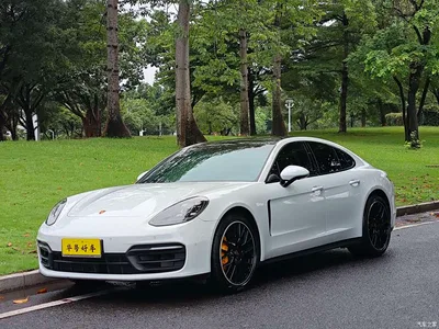 2021 Porsche Panamera Model Panamera 2.9T, фото 1, лот 10420635