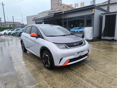 2021 BYD Dolphin Model 405km Fashion Edition, фото 3, лот 11244043