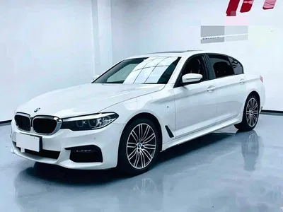 2019 BMW 5 Series 530Li Leading M Sport Package, фото 1, лот 11580307