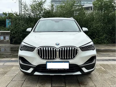2020 BMW X1 sDrive20Li Premium Edition, фото 1, лот 10466558