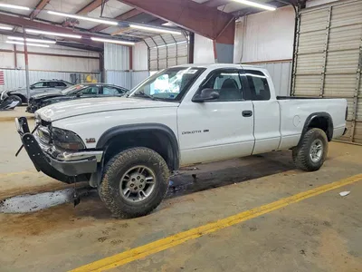 1999 DODGE DAKOTA, фото 1, лот 10973110