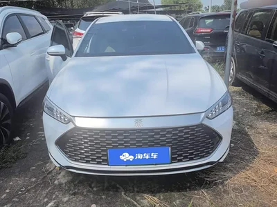 2024 BYD Qin PLUS Glory Edition DM-i 55KM Leading, фото 2, лот 10363613