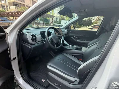 2025 BYD Seal 05 DM-i DM-i Smart Drive Edition 75KM Luxury, фото 4, лот 10887219