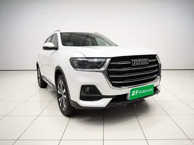 2021 Haval H6 National Trend Edition 1.5GDIT Automatic Champion Edition, фото 3, лот 11140437