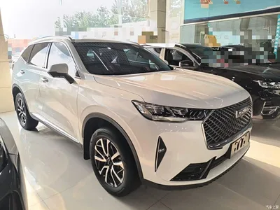 2021 Haval H6 3rd Gen 1.5T Auto 2WD Pro, фото 4, лот 10302186
