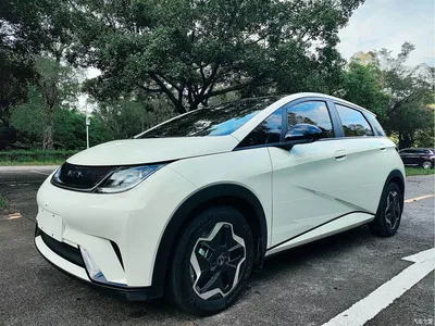 2021 BYD Dolphin Model 405km Fashion Edition, фото 1, лот 10255874