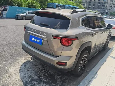 2023 Haval Second-Generation Big Dog New Energy DHT-PHEV 105km Trendy Electric Edition Plus, фото 3, лот 11148443